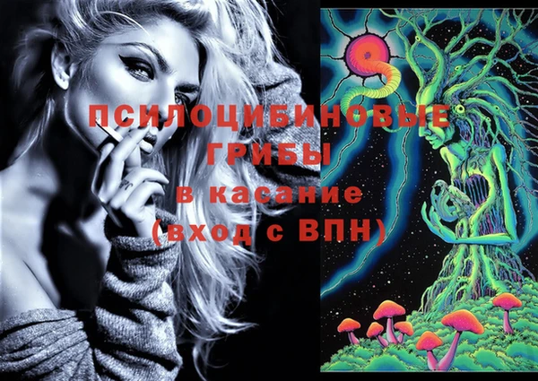 прущая мука Алзамай
