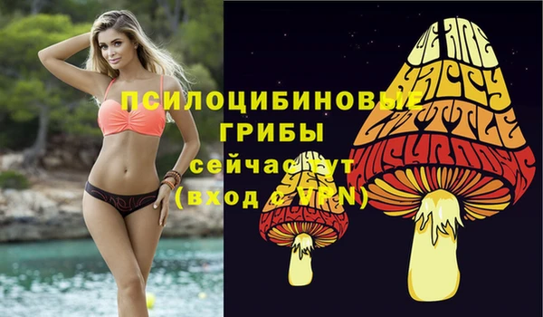 а пвп мука Алексин