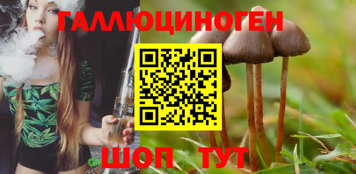 Алексеевка  Галлюциногенные грибы Magic Shrooms  Вход с VPN 